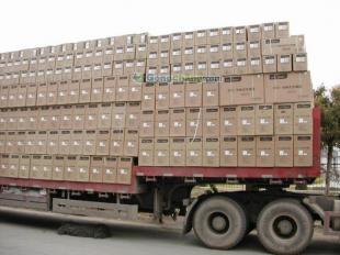 供應東莞到桂林行李托運 桂林物流搬家搬廠 東莞到桂林貨運專線_交通運輸_世界工廠網中國產品信息庫